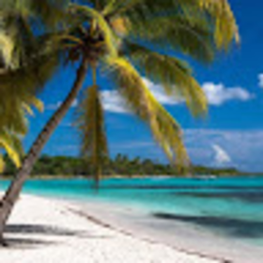 Meet your Posher, Shadow